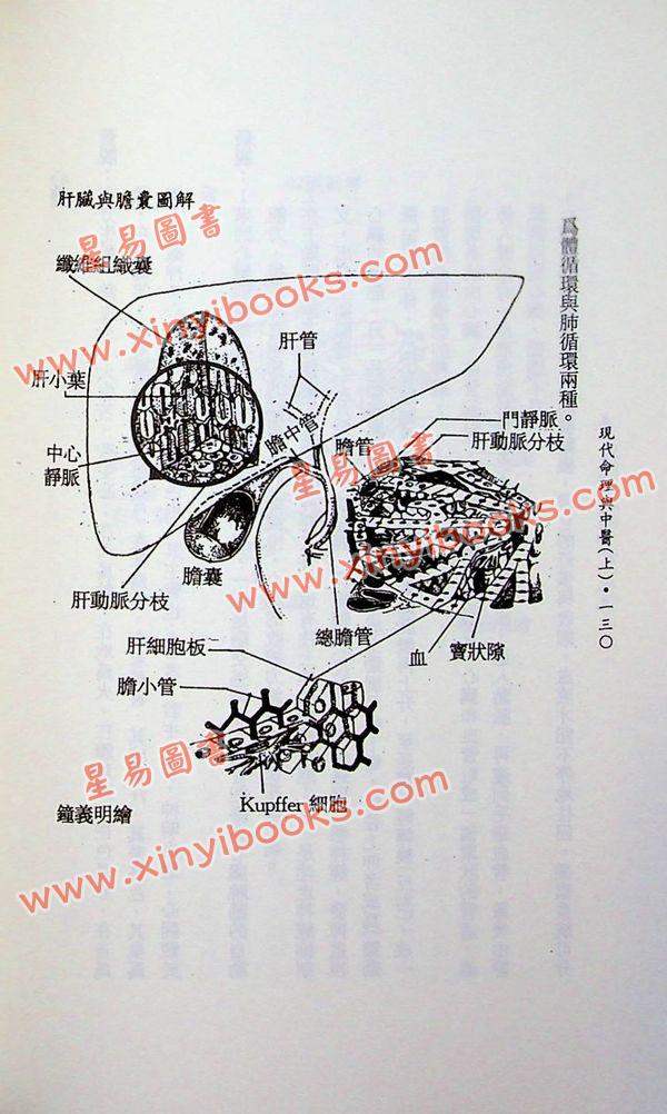 钟义明：现代命理与中医（上）