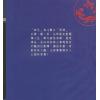 梁若瑜：草根性飞星紫微斗数－专论四化