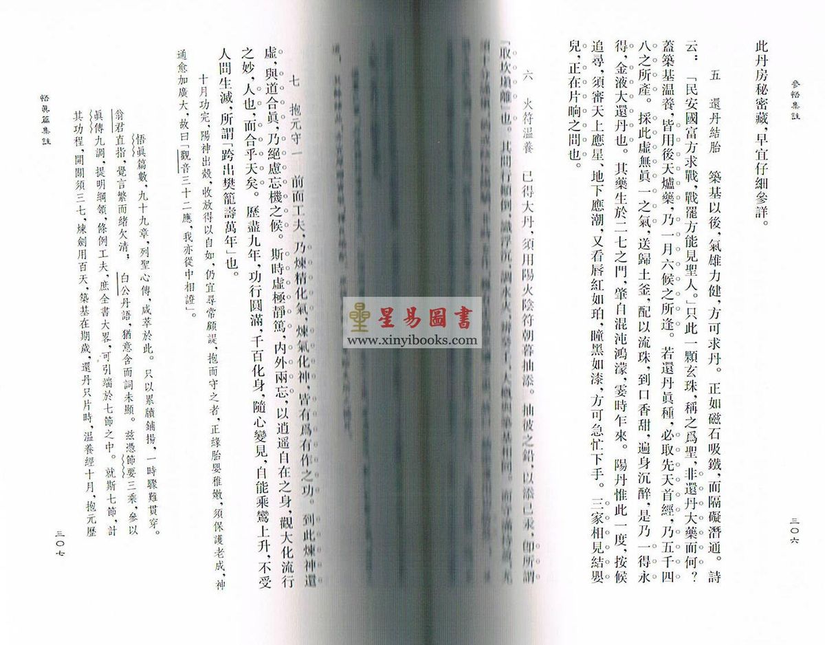知几子：参悟集注