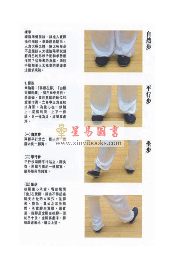 祝大彤：太极解秘十三篇(修订版)含DVD碟  售罄