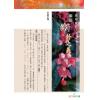 聚贤馆：风水天地 卷252（2013年9月）