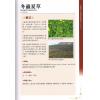 陈新滋/杨大坚/欧靖彤：名贵药材鉴别