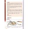 陈新滋/杨大坚/欧靖彤：名贵药材鉴别