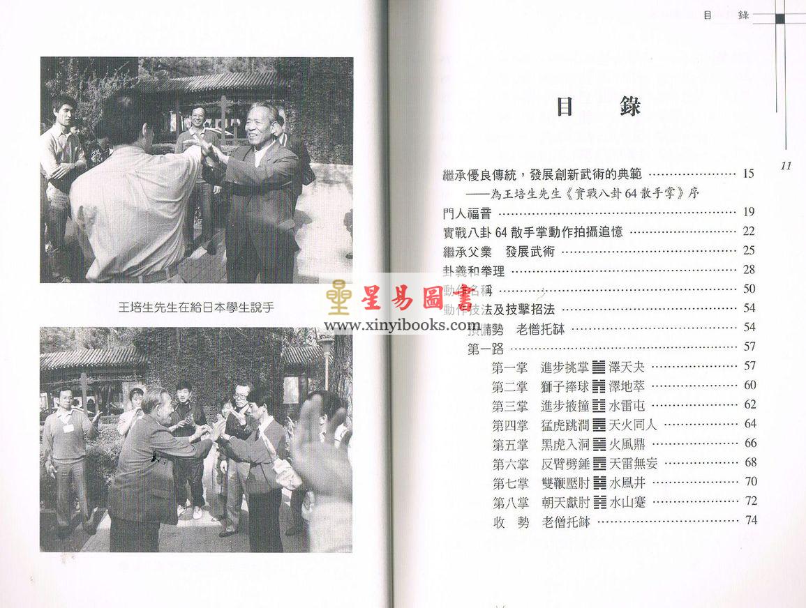 王培生：实战八卦六十四散手掌