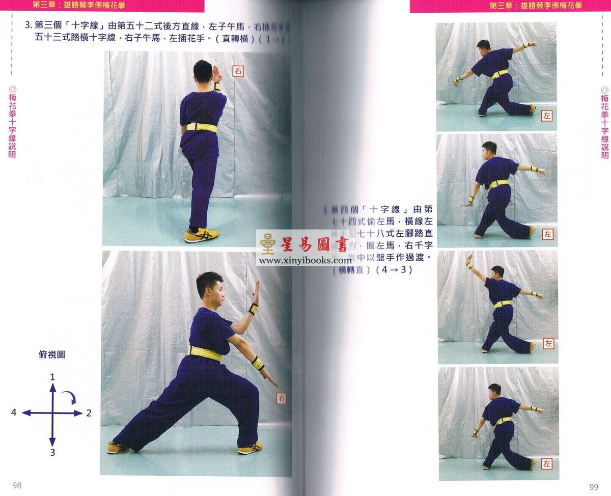 杜深/杜明洋：梅花行者-雄胜蔡李佛