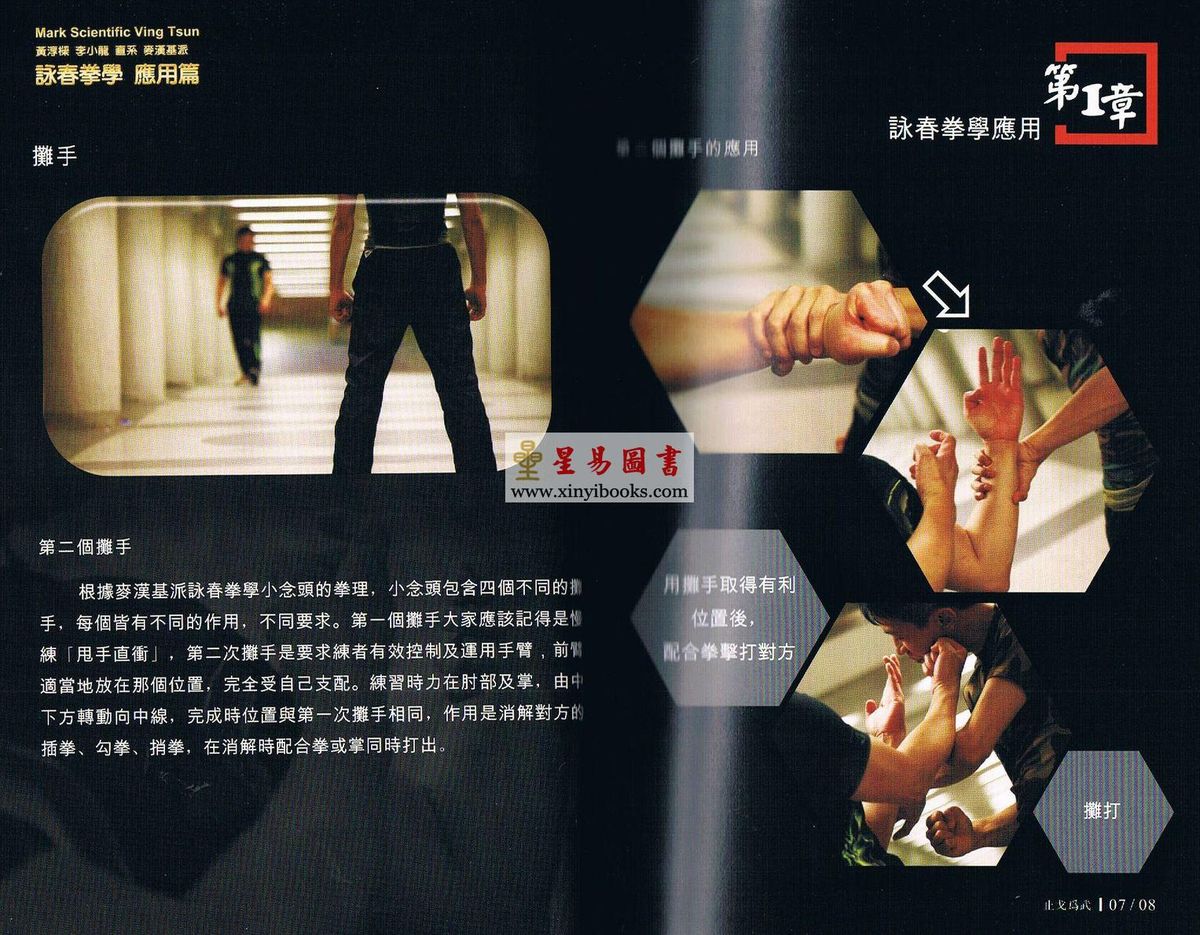 哲祺/霍惠鹏/高晓燕/尹燕珊：咏春拳学应用篇—黄淳梁李小龙直系麦汉基派