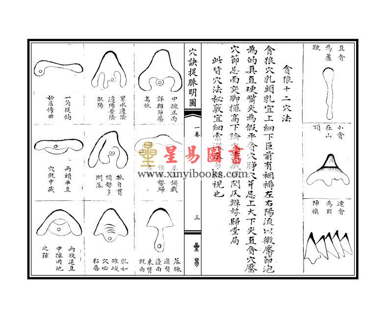 清·周中复订注：五星穴法正变明图·九星穴诀捉脉明图（线装）