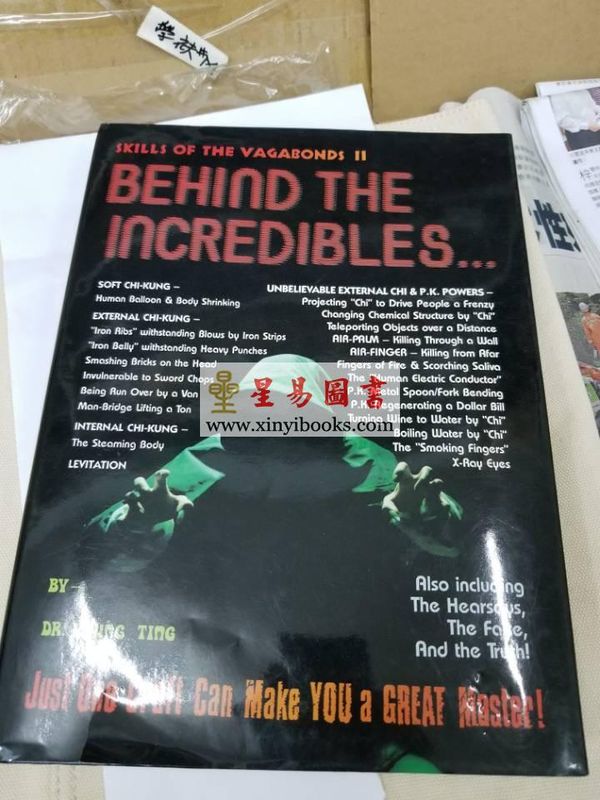 Dr. Leung Ting梁挺博士：Behind the Incredible —Skills of the Vagabonds #2