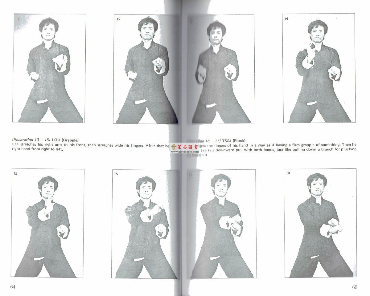 Dr. Leung Ting梁挺博士：Seven-Star Praying Mantis Kungfu 英文版