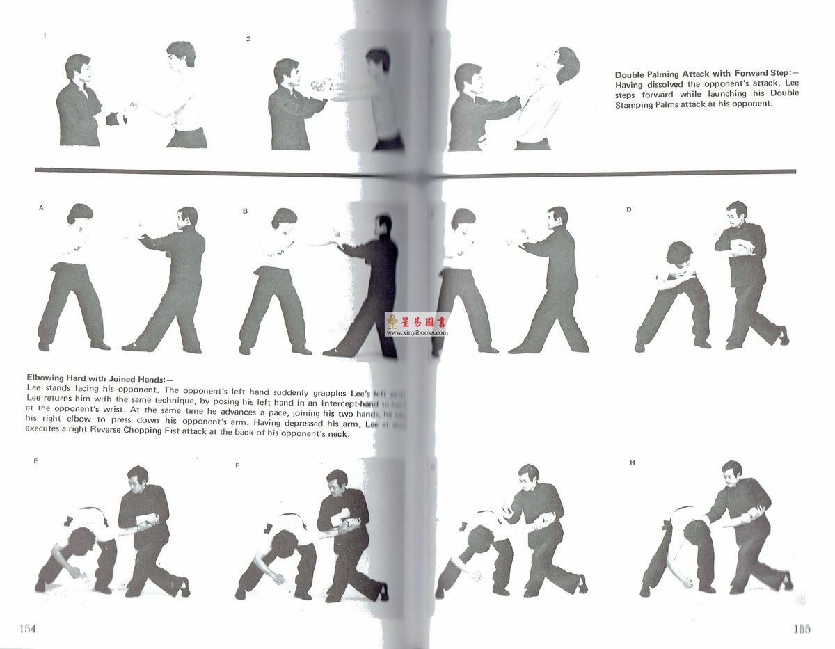 Dr. Leung Ting梁挺博士：Seven-Star Praying Mantis Kungfu 英文版