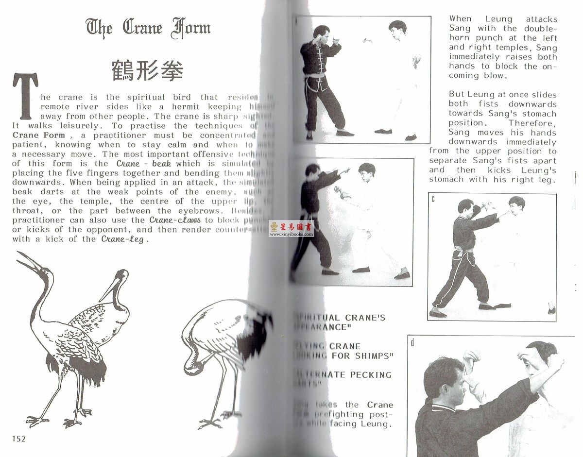 Dr. Leung Ting梁挺博士：Shaolin Ten-animal form of Kwan Tak Hing（少林十形拳英文版）