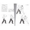 Dr. Leung Ting梁挺博士：108 Movements of The Shaolin Wooden-men Hall #1