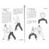 Dr. Leung Ting梁挺博士：108 Movements of The Shaolin Wooden-men Hall #2