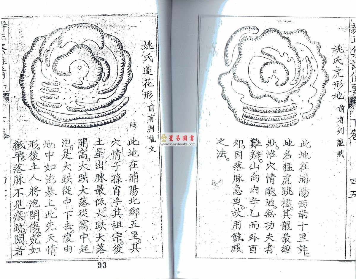清．陈治安：辨正集注补要  最後2本