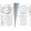 清．陈治安：辨正集注补要  最後2本
