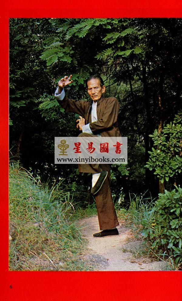 Dr. Leung Ting梁挺博士：Five-Pattern Hung Kuen (Part Two）