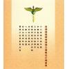 释悟光：即身成佛观
