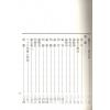 麻衣道者：白话麻衣神相（文国版）