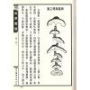 周景一/姚雨方：新校山洋指迷－星影（精装）（翔大）