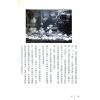 姜威国：吉祥物摆设一次就学会 售罄