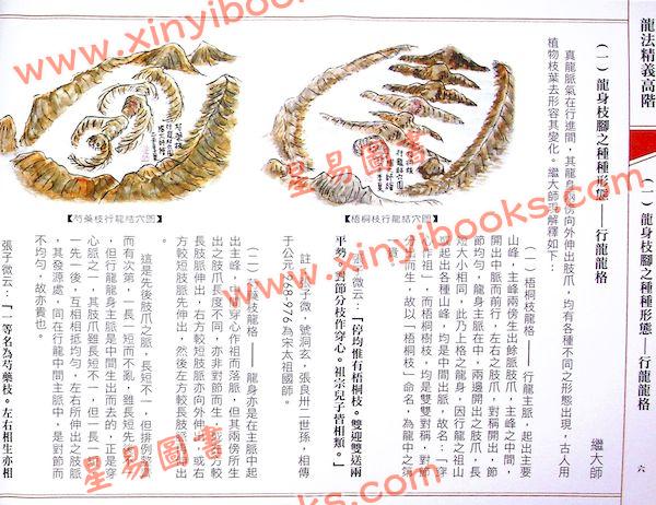 继大师：龙法精义高阶（内页全彩）（榮光園4）