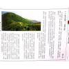 继大师：龙法精义初阶（内页全彩）（榮光園3）
