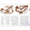 继大师：龙法精义初阶（内页全彩）（榮光園3）