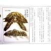 继大师：砂法精义（一）（榮光園11）