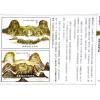 继大师：砂法精义（一）（榮光園11）