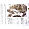 继大师：砂法精义（二）（榮光園12）