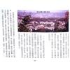 继大师：大都会风水秘典（全彩色）（榮光園17）
