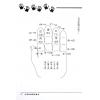松林山人：手掌诀浅释与应用