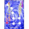 曾子南：长生不老的追求（第三册）
