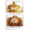 目讲师纂/继大师注：奇验经说文图解（榮光園34）