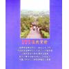 张玉正：风水祖师杨救贫堪舆实证