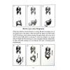 Dr. Leung Ting：Chi-Sau II  &  Lat-Sau of the Wing Tsun System（良仕行）黐手2