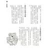 李居明：玄学秘键（居明正堂93）