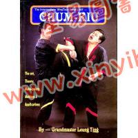 Dr. Leung Ting：Chum-Kiu（良仕）尋橋