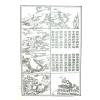 灵通道人：演禽三世相法（大山版）